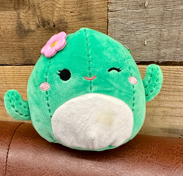 5 Inch Squishmallow