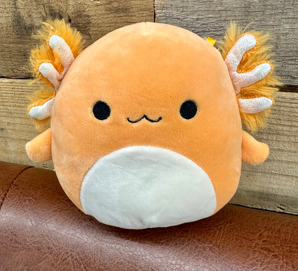 5 Inch Squishmallow