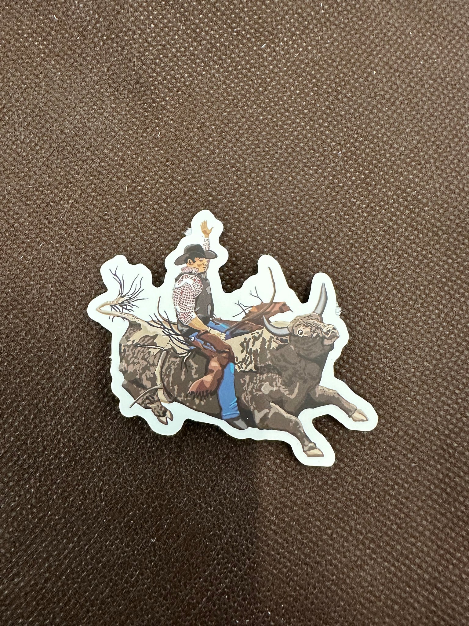 Bull Rider Sticker