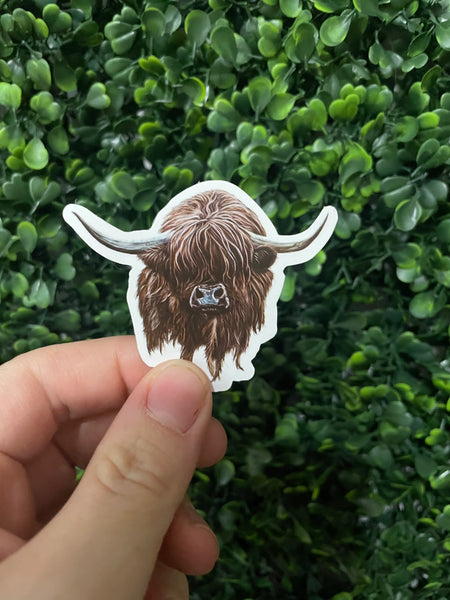 Highland Cow Realistic Drawing Sticker