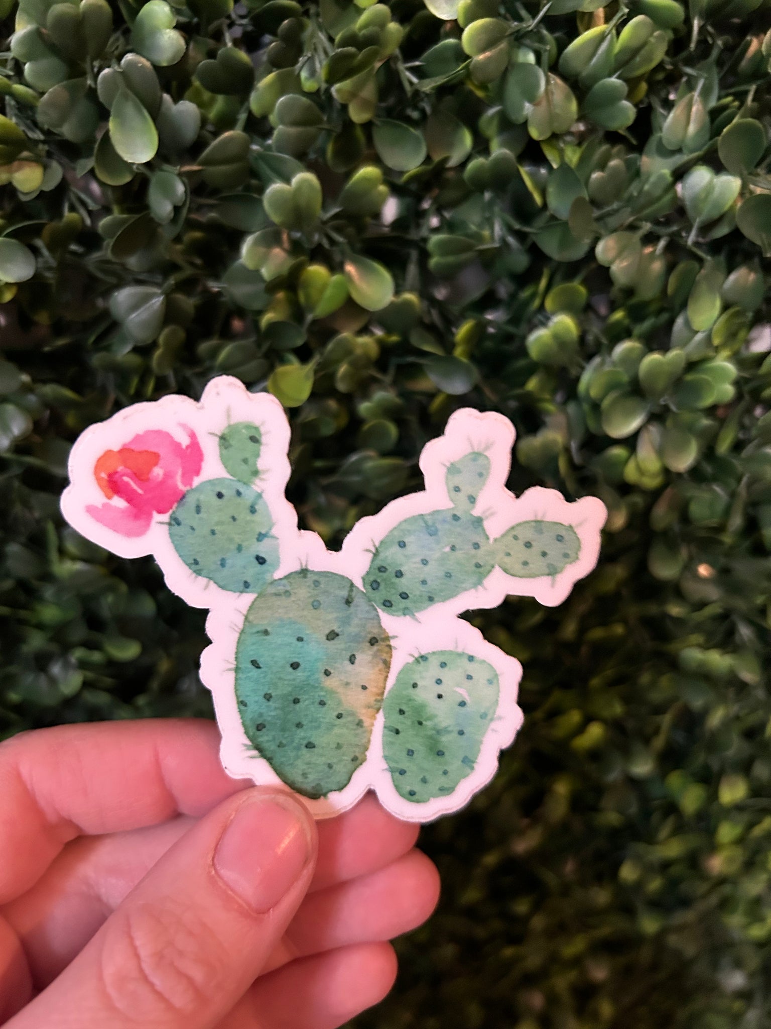 Cactus Floral Sticker
