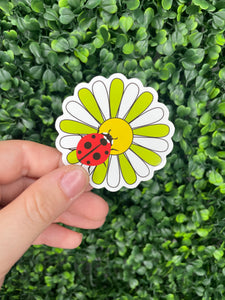 Daisy Green Ladybug Sticker