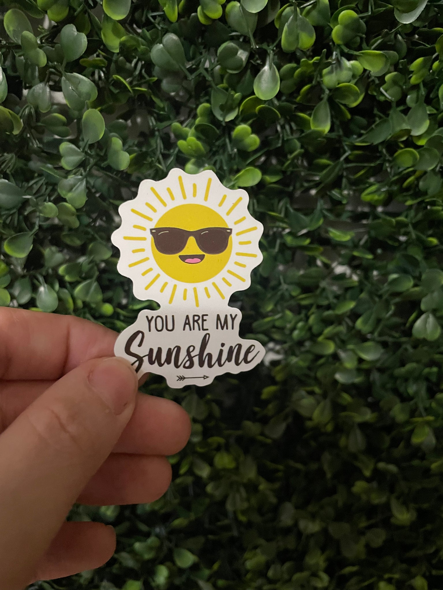 You are my Sunshine Sticker