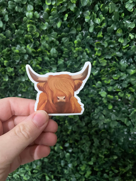 Highland Cow Realistic Drawing Sticker