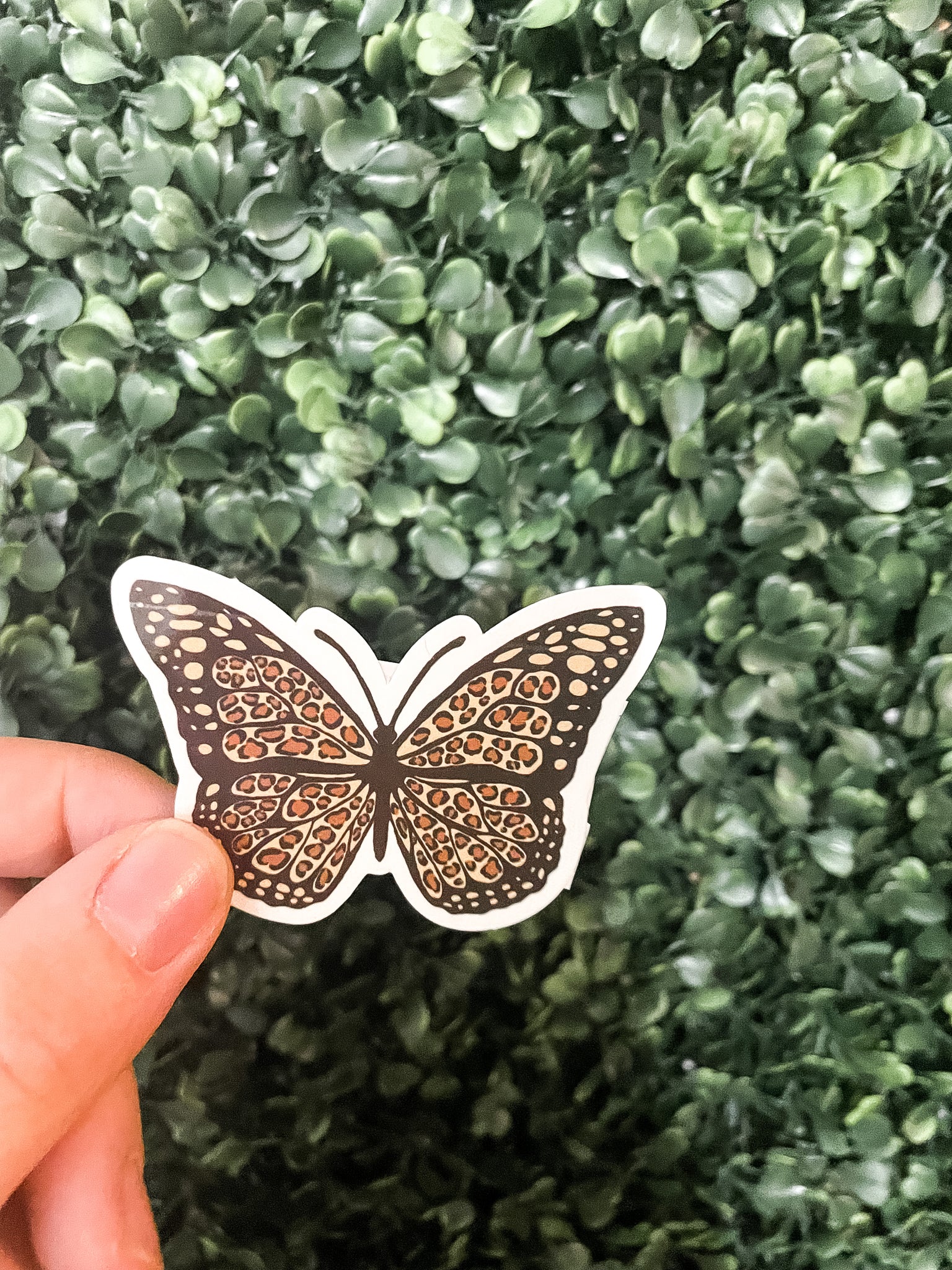 Cheetah Butterfly Sticker
