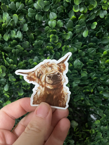 Highland Cow Realistic Drawing Sticker