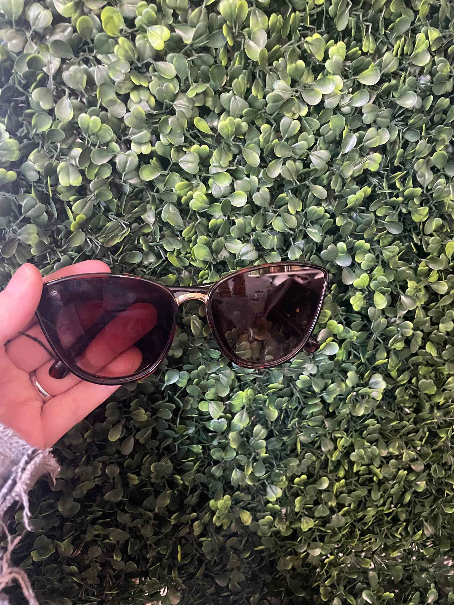 Tortoise Shell Bold Sunglasses