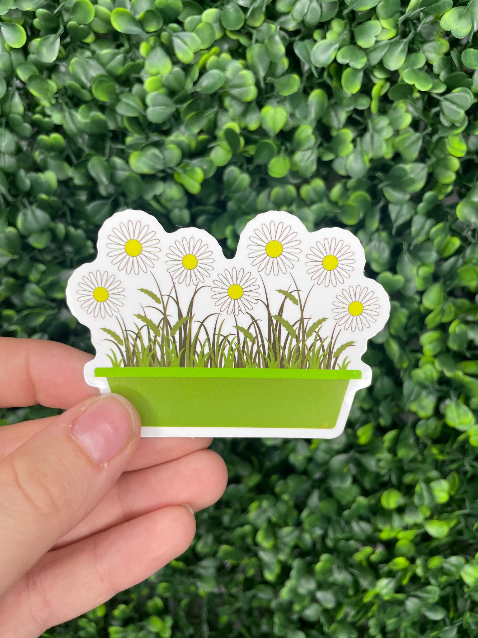 Daisy Planter Box Sticker