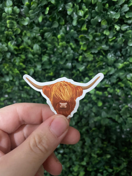 Highland Cow Realistic Drawing Sticker