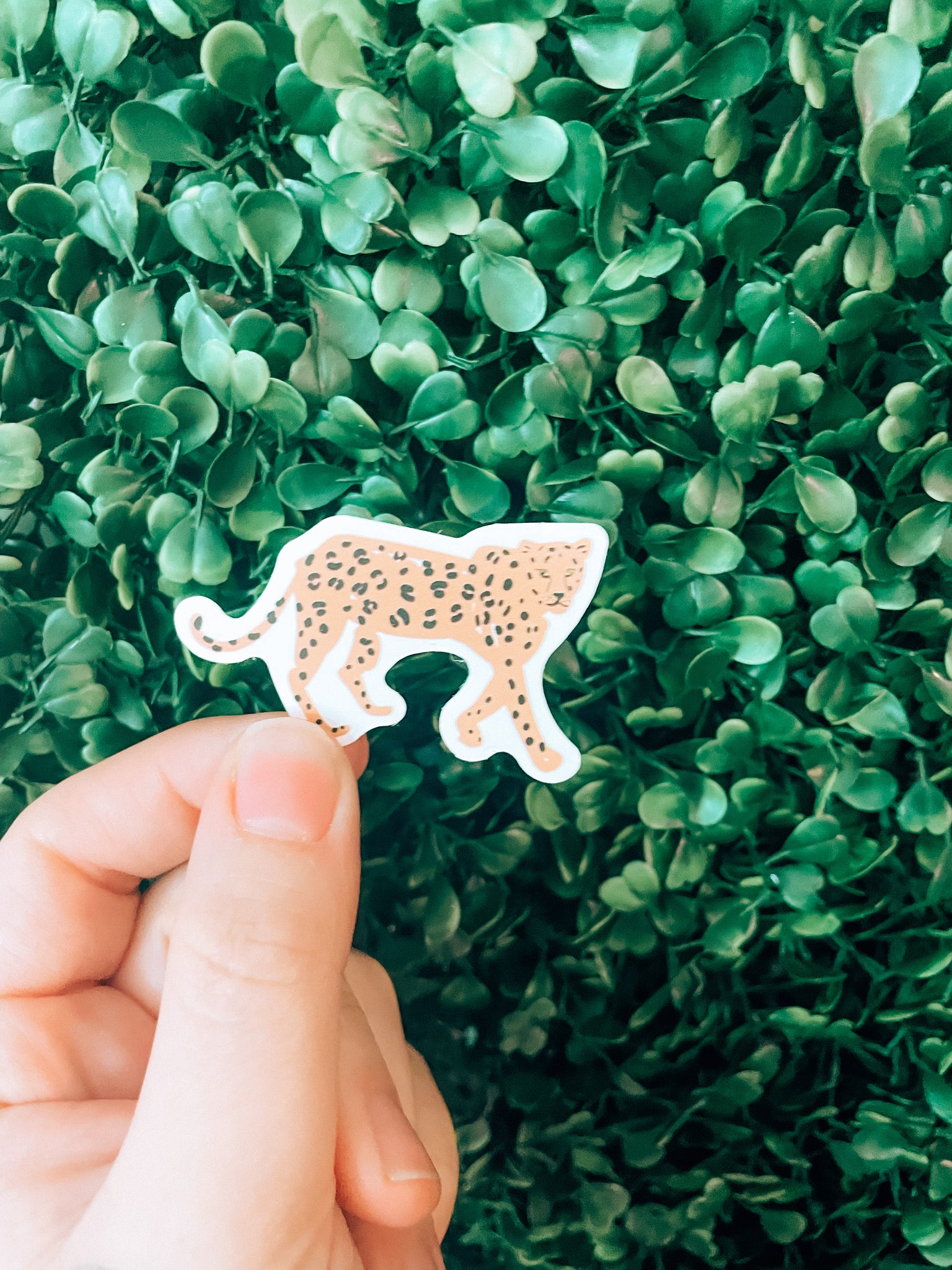 Cheetah Boho Sticker