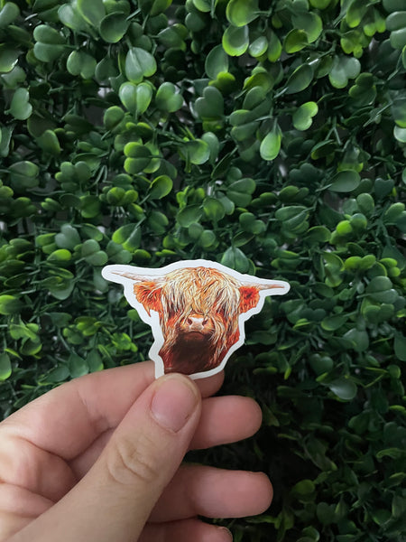 Highland Cow Realistic Drawing Sticker