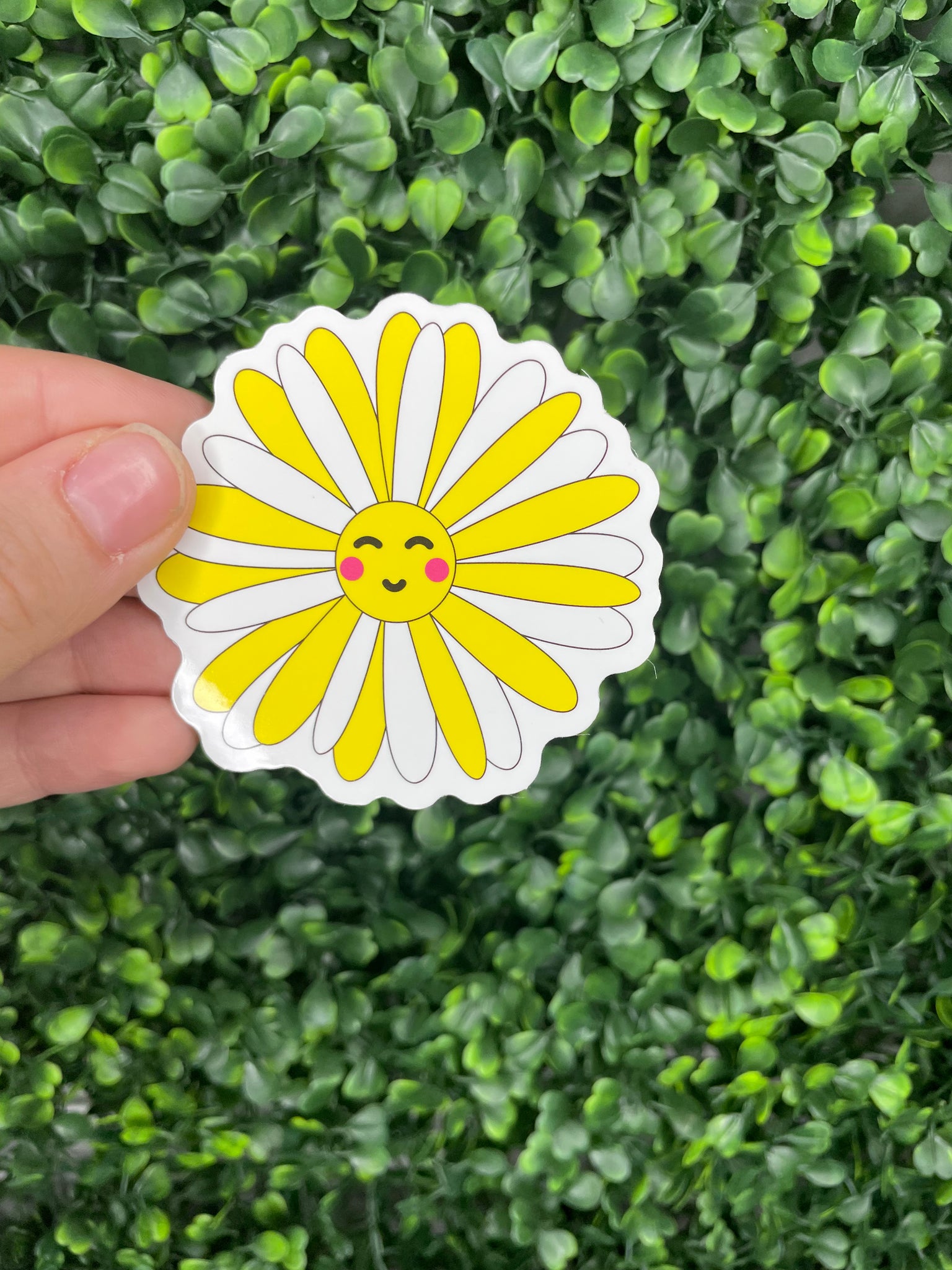 Daisy Yellow&White Sticker