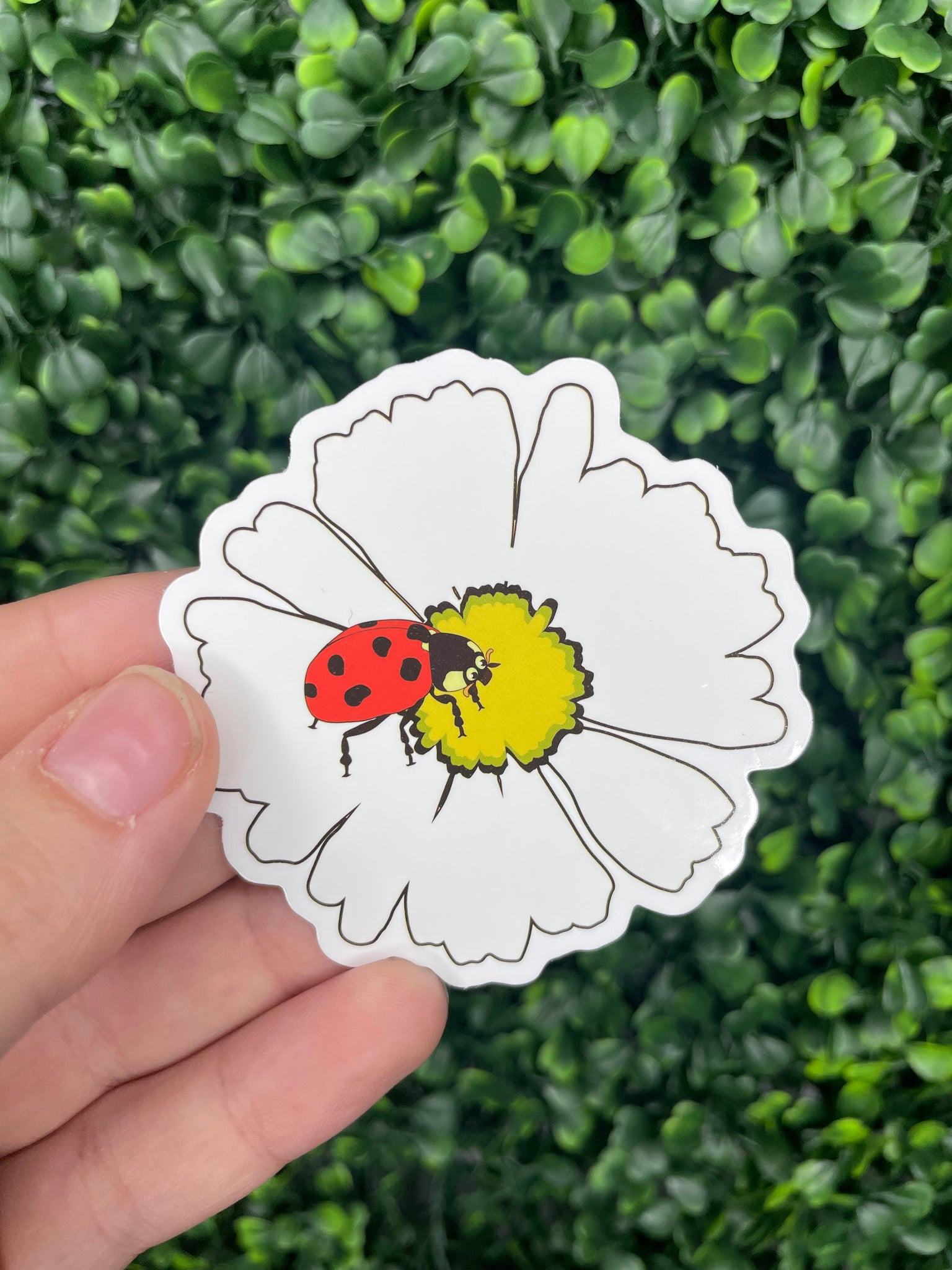 Daisy Ladybug Sticker