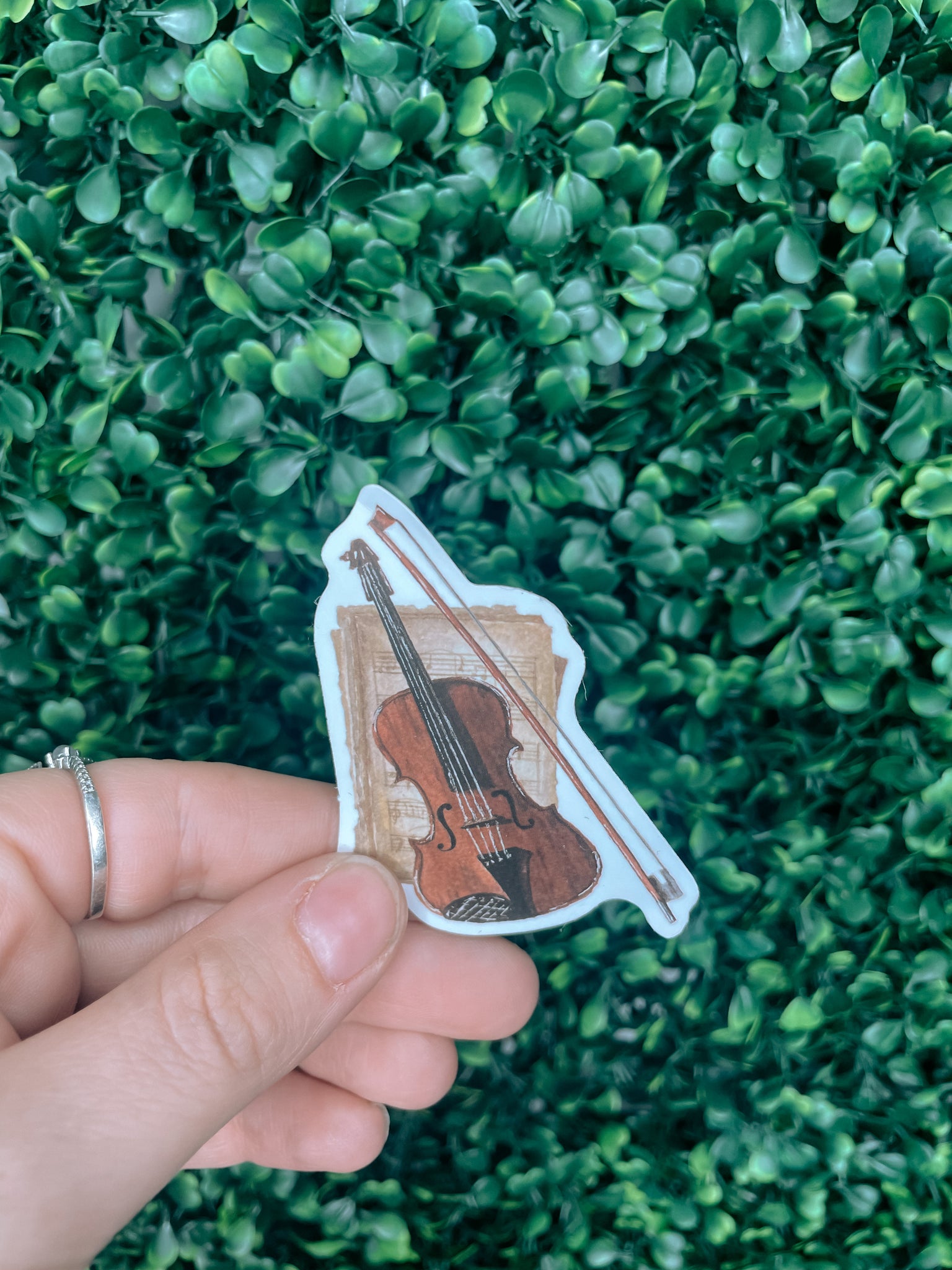 Cottagecore Violin Sticker