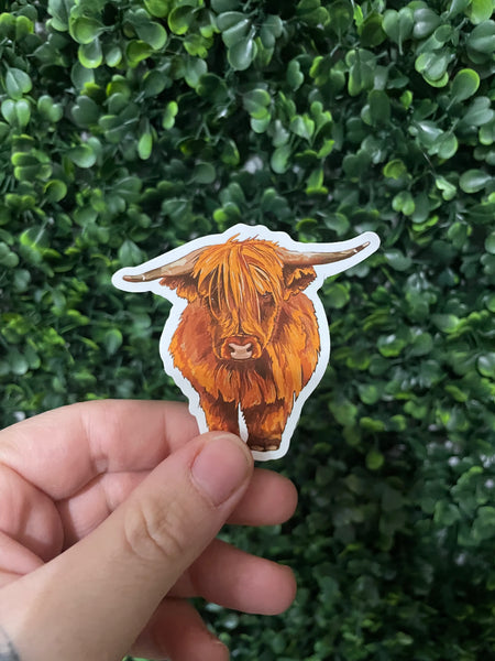 Highland Cow Realistic Drawing Sticker