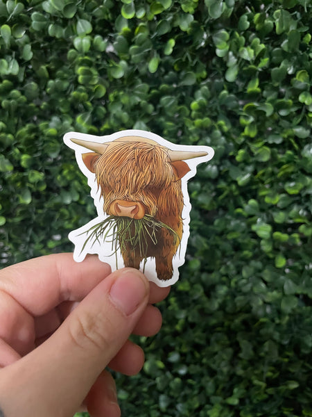 Highland Cow Realistic Drawing Sticker