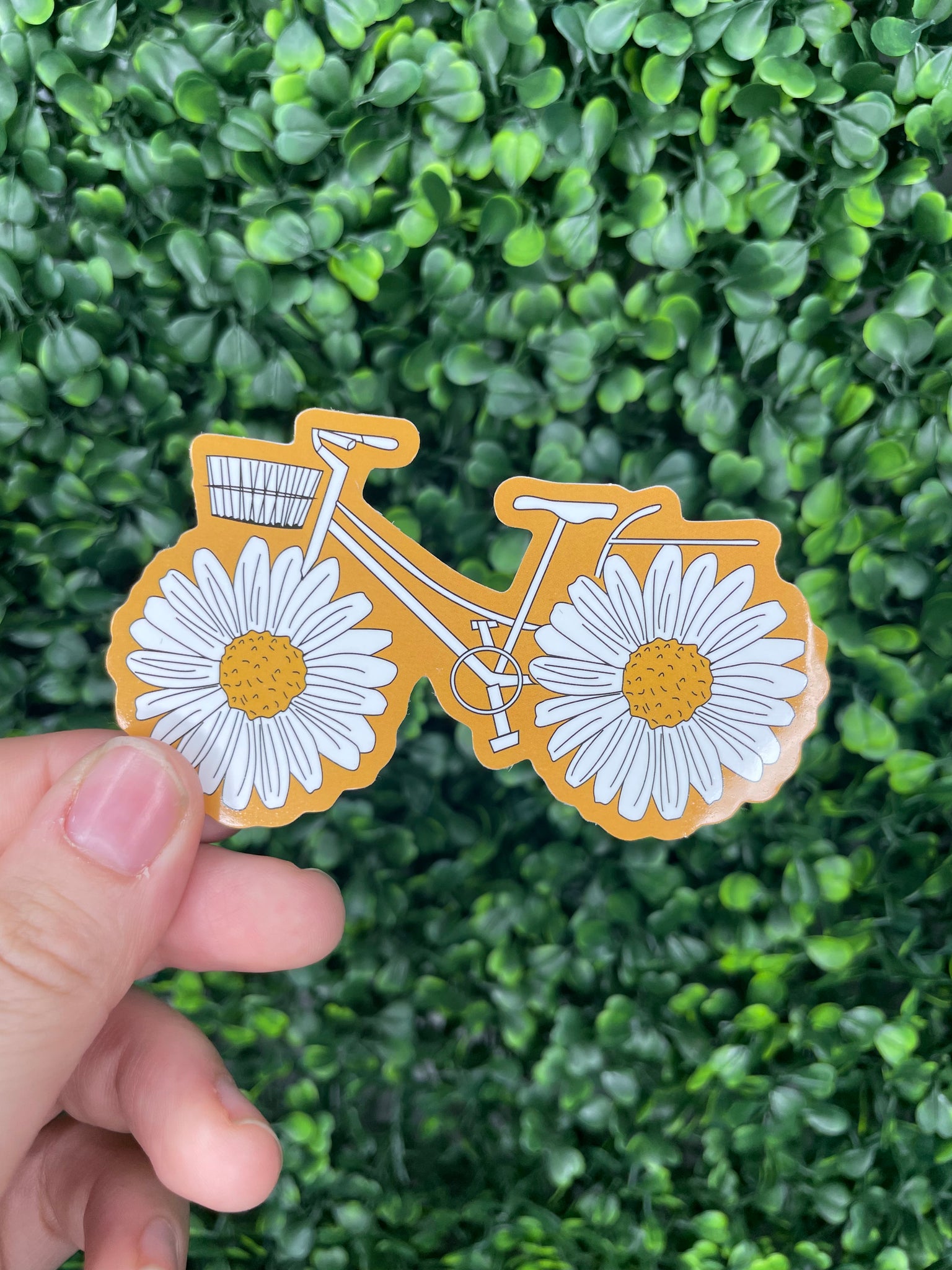 Daisy Bicycle Sticker